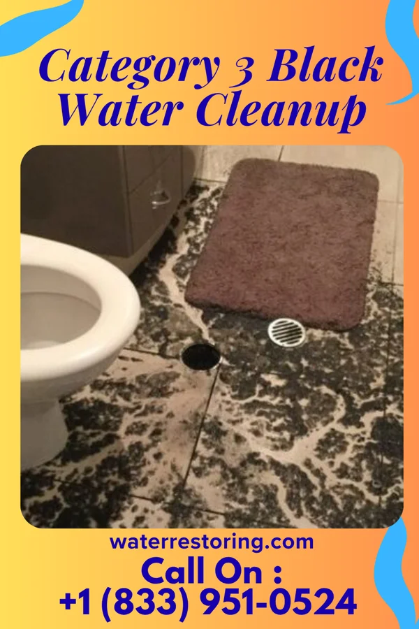 Category 3 Black Water Cleanup in Ames Lake, WA
